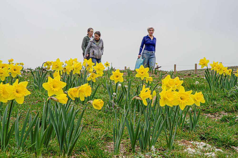 Gold for Environmental Work!
