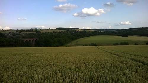 view_from_footpath_sd194